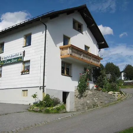 Zum Lusenblick Guest house *